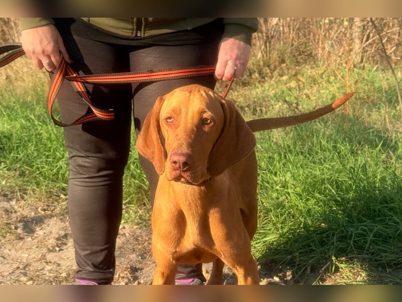 Scooba sucht ihren 6er im Lotto