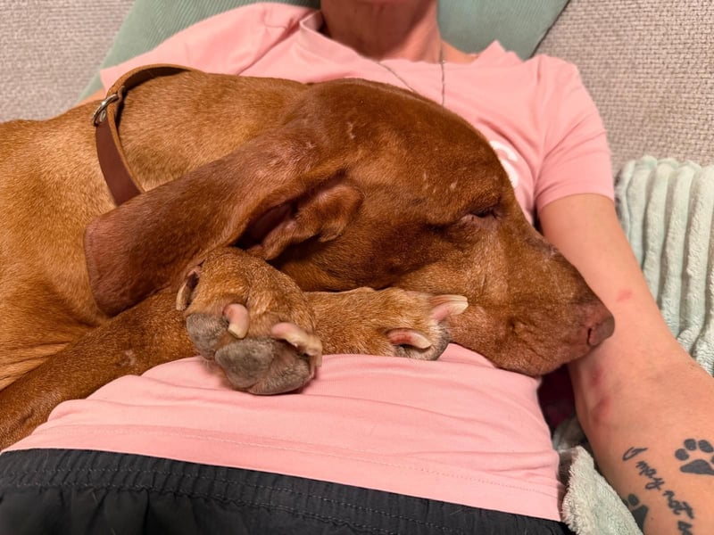 Rico ist in 15569 Woltersdorf/bei Berlin