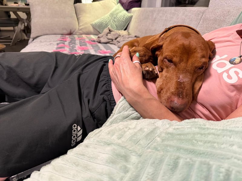 Rico ist in 15569 Woltersdorf/bei Berlin