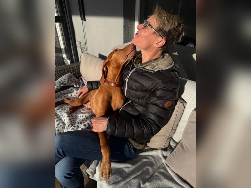 Rico ist in 15569 Woltersdorf/bei Berlin