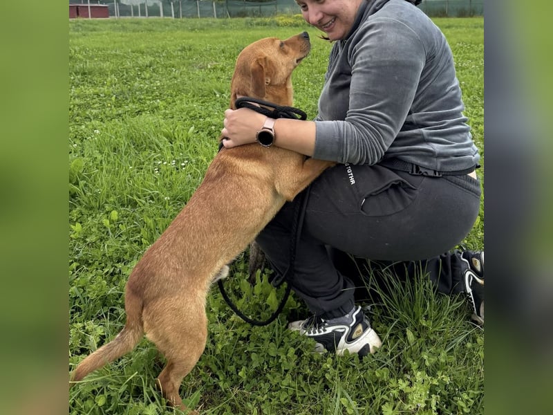 Lio ein Traumwesen