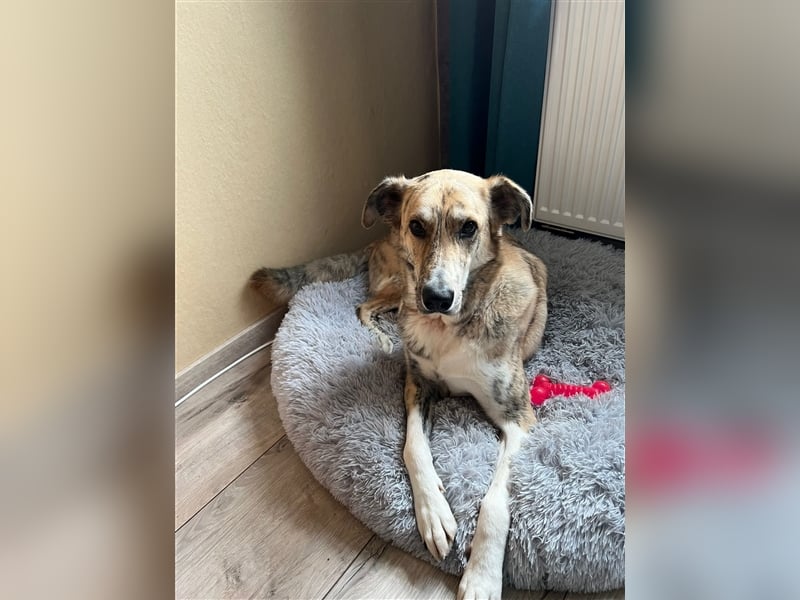 Balou wünscht sich aktive souveräne Menschen