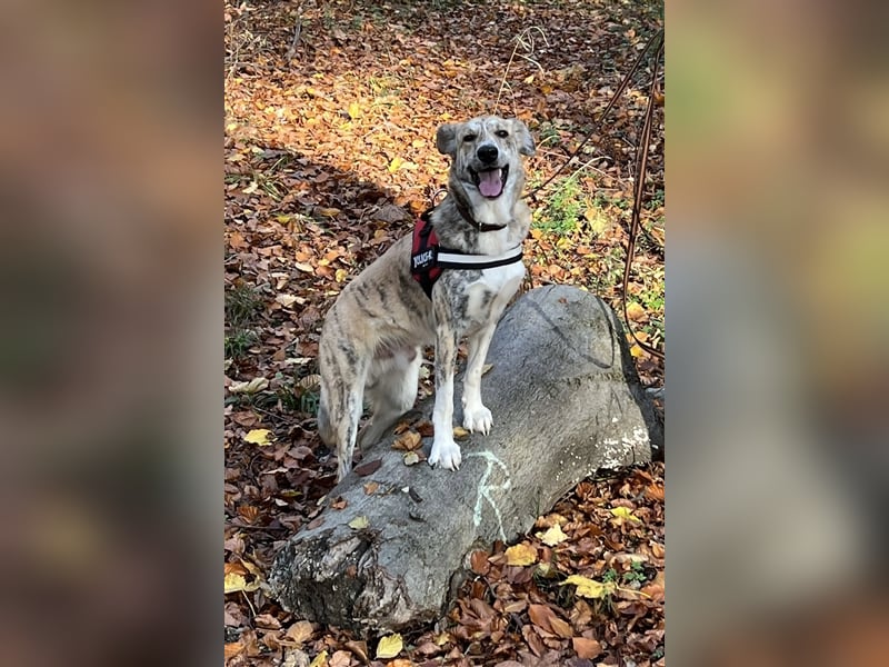 Balou wünscht sich aktive souveräne Menschen