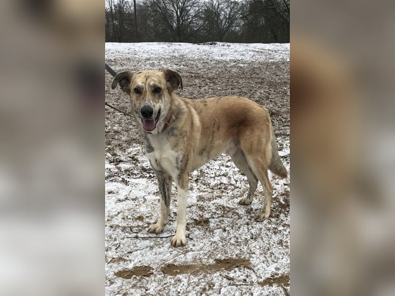 Balou wünscht sich aktive souveräne Menschen