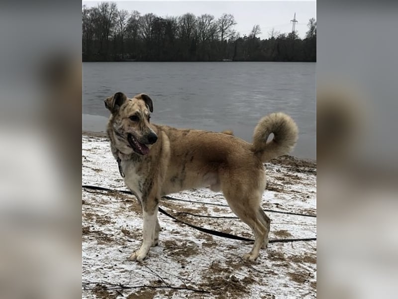 Balou wünscht sich aktive souveräne Menschen