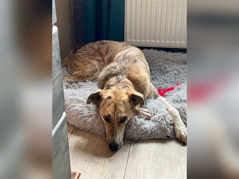 Balou wünscht sich aktive souveräne Menschen