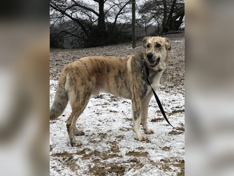 Balou wünscht sich aktive souveräne Menschen