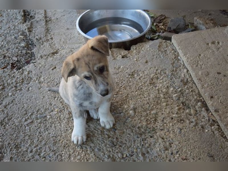 Balou wünscht sich aktive souveräne Menschen
