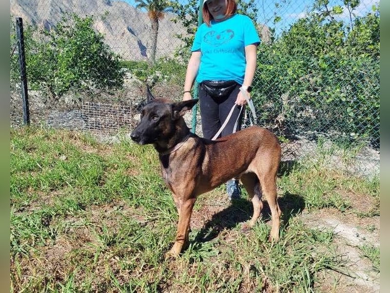 ❤️ BARBATE ❤️