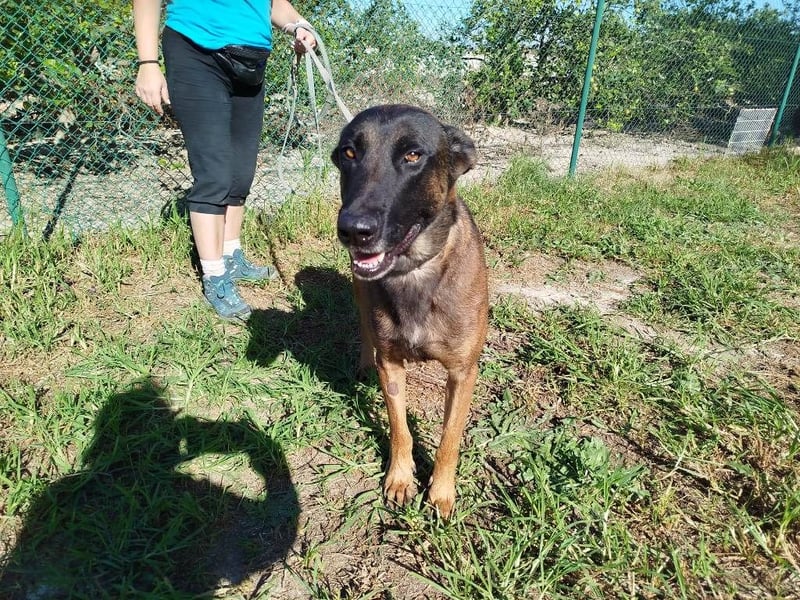 ❤️ BARBATE ❤️