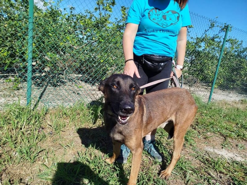 ❤️ BARBATE ❤️