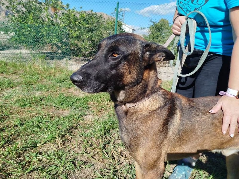 ❤️ BARBATE ❤️