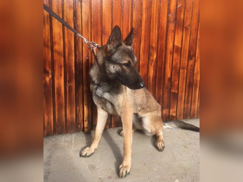 Gabe, muss unverschuldet ihr Zuhause verlassen