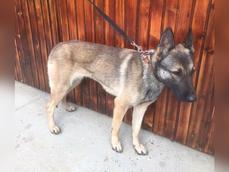 Gabe, muss unverschuldet ihr Zuhause verlassen