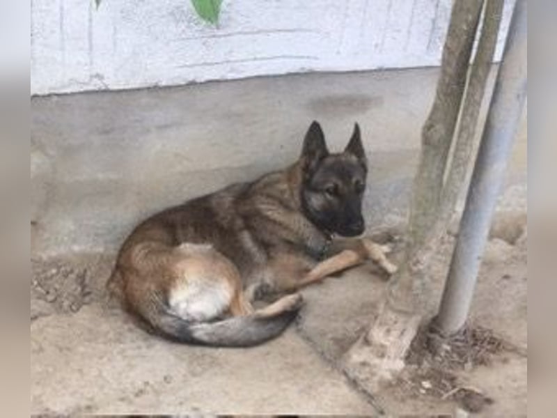 Gabe, muss unverschuldet ihr Zuhause verlassen