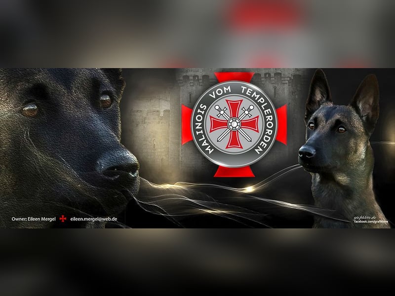 Malinois