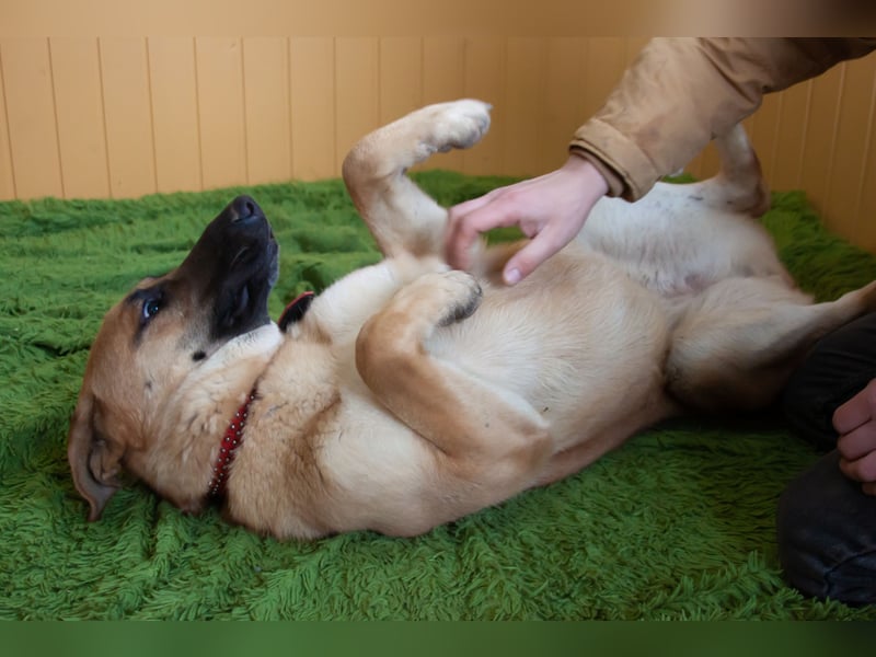 Junge hübsche Leia sucht Familie