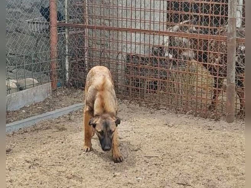 George, lieb und menschenbezogen