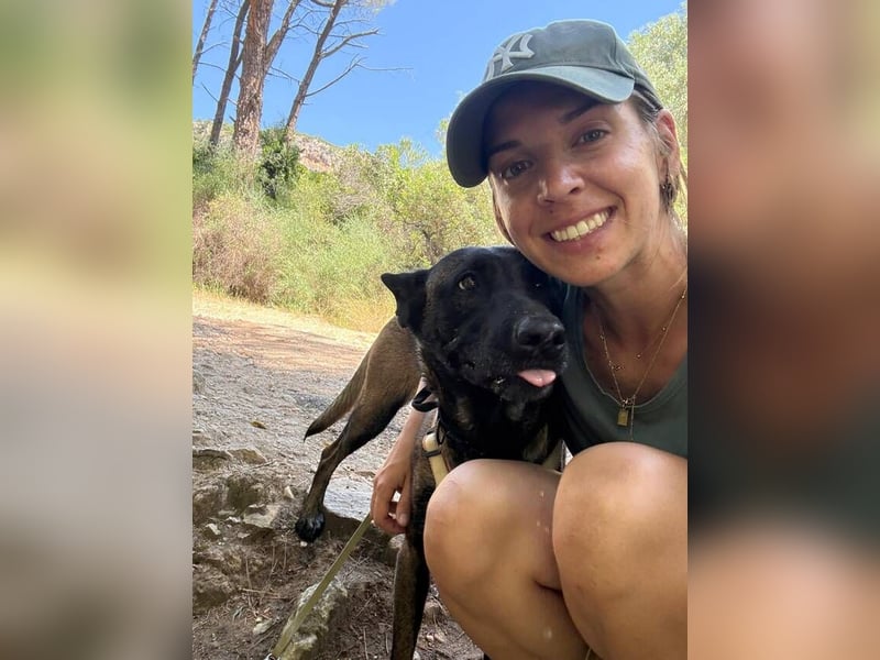 Cloe (Spanien) – bildschöne und arbeitsfreudige Hündin sucht erfahrene Menschen