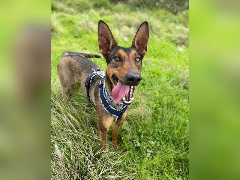 Mia (Spanien) – Elegante Schönheit sucht Neuanfang