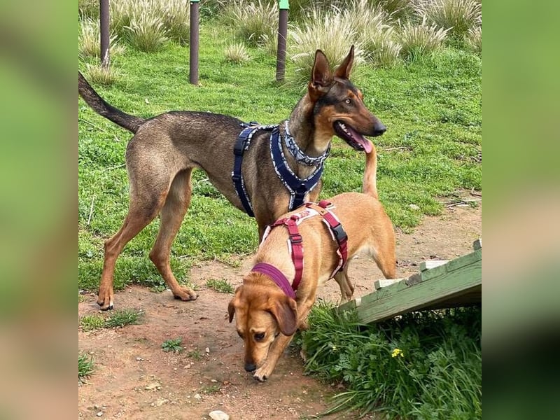 Mia (Spanien) – Elegante Schönheit sucht Neuanfang