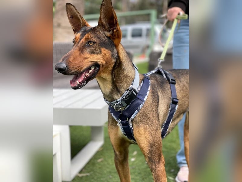 Mia (Spanien) – Elegante Schönheit sucht Neuanfang