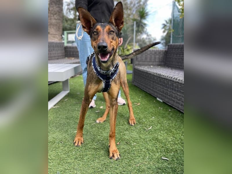 Mia (Spanien) – Elegante Schönheit sucht Neuanfang