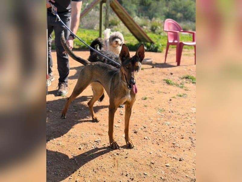 Mia (Spanien) – Elegante Schönheit sucht Neuanfang