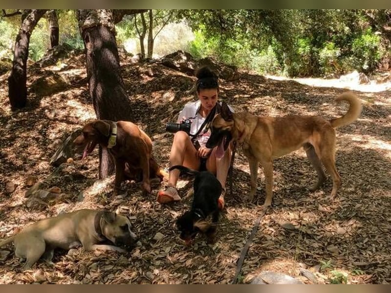 Rocky (Spanien) - stark, sensibel, besonders