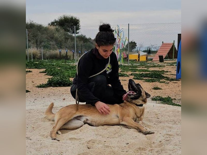 Rocky (Spanien) - stark, sensibel, besonders