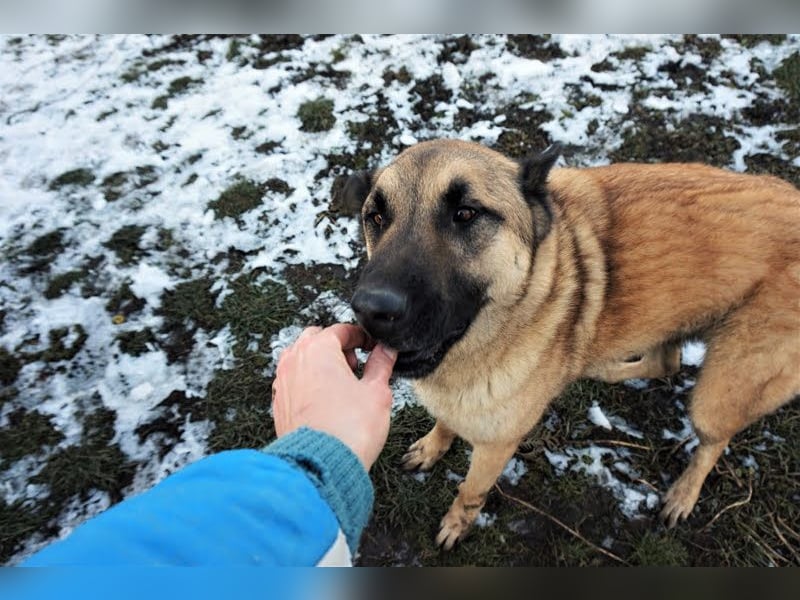 Tarik: sehnt sich nach Liebe