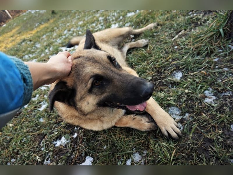 Tarik: sehnt sich nach Liebe