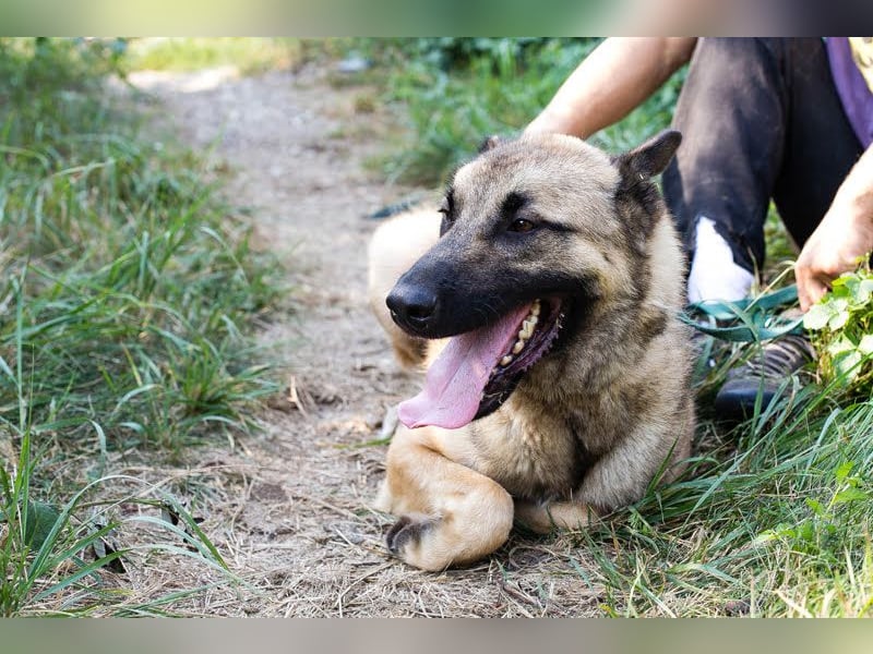 Tarik: sehnt sich nach Liebe