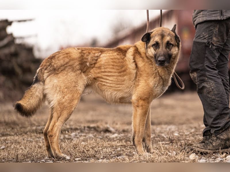 Tarik: sehnt sich nach Liebe