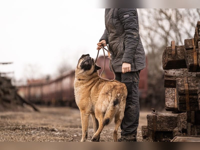 Tarik: sehnt sich nach Liebe