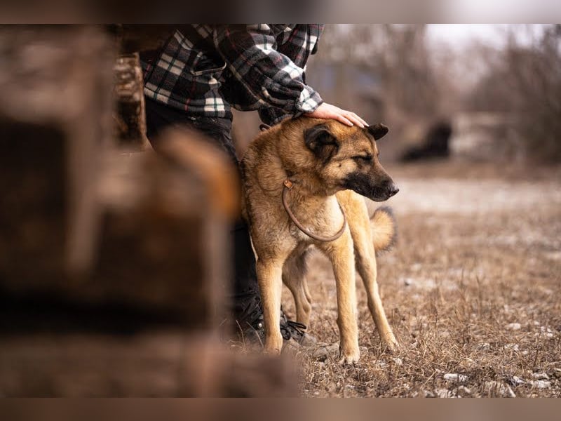 Tarik: sehnt sich nach Liebe