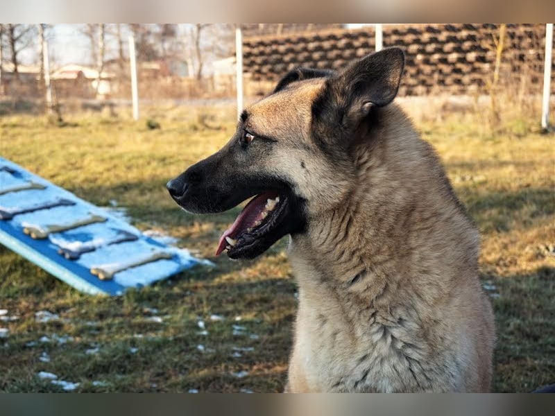 Tarik: sehnt sich nach Liebe