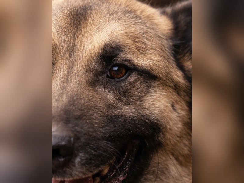 Tarik: sehnt sich nach Liebe