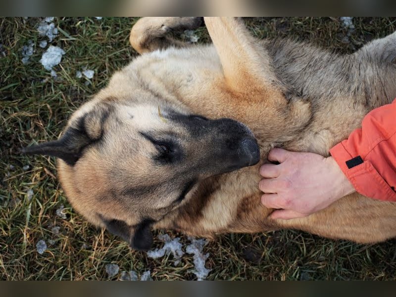 Tarik: sehnt sich nach Liebe