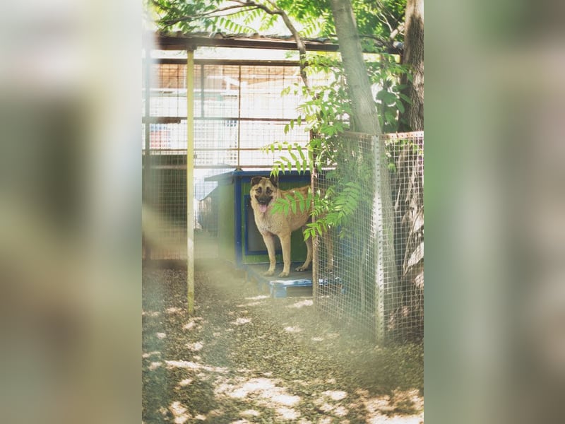 Tarik: sehnt sich nach Liebe