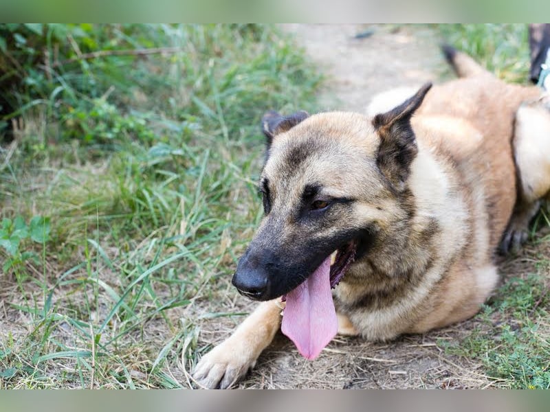 Tarik: sehnt sich nach Liebe
