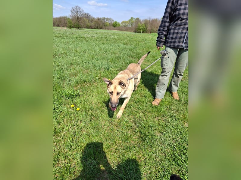 Beethoven: Ode an die Liebe