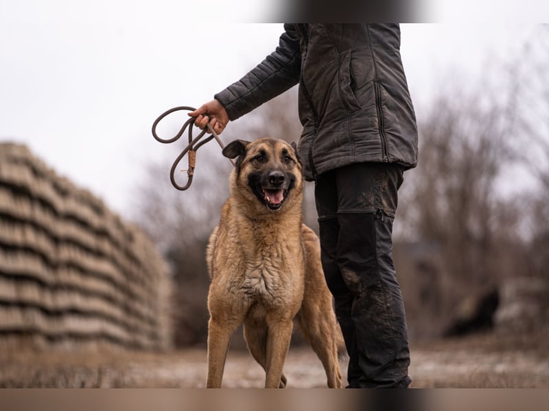 Tarik: sehnt sich nach Liebe