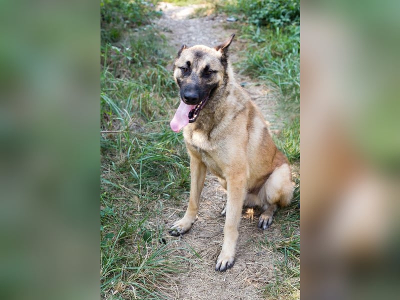 Tarik: sehnt sich nach Liebe