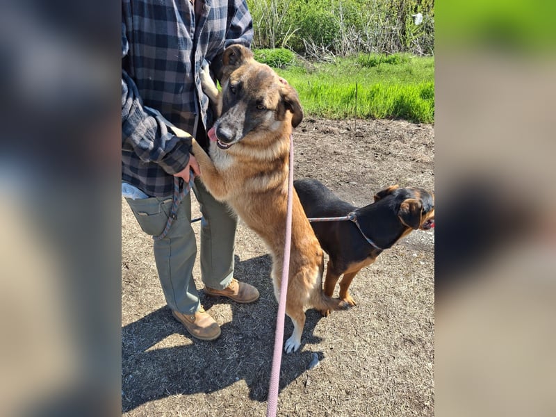 Beethoven: Ode an die Liebe