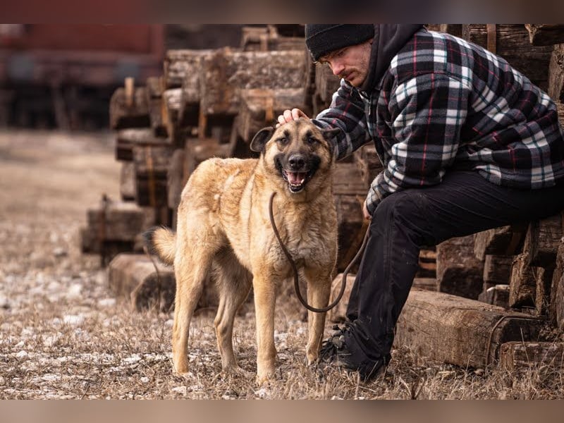 Tarik: sehnt sich nach Liebe