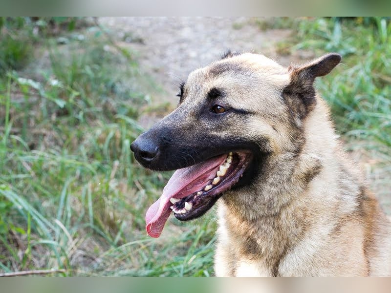 Tarik: sehnt sich nach Liebe