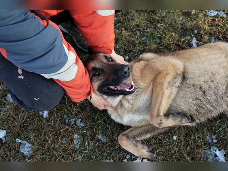 Tarik: sehnt sich nach Liebe