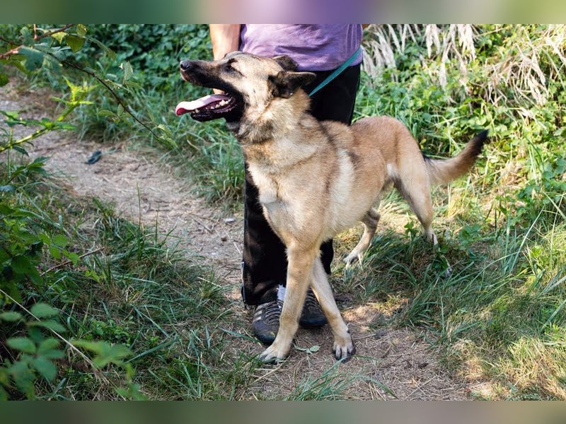 Tarik: sehnt sich nach Liebe