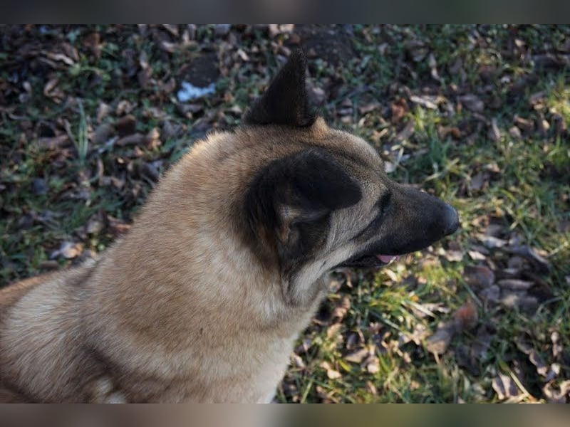 Tarik: sehnt sich nach Liebe